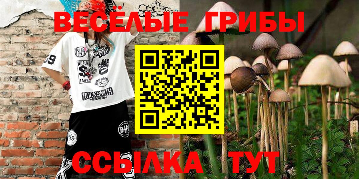 Галлюциногенные грибы Cubensis Новоалександровск
